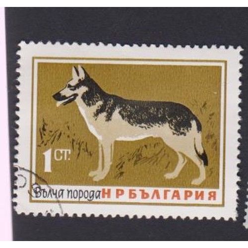 Timbre Chien Dog Tp7