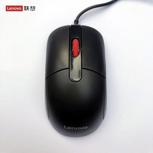 Souris filaire Lenovo M22 noir