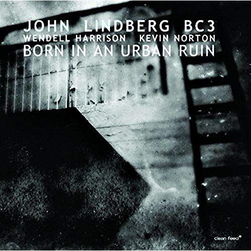 Born In An Urban Ruin