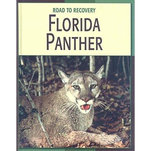 Florida Panther (Road To Recovery)