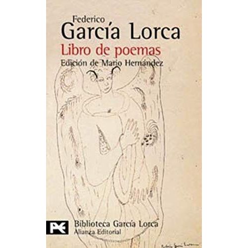 Libro De Poemas