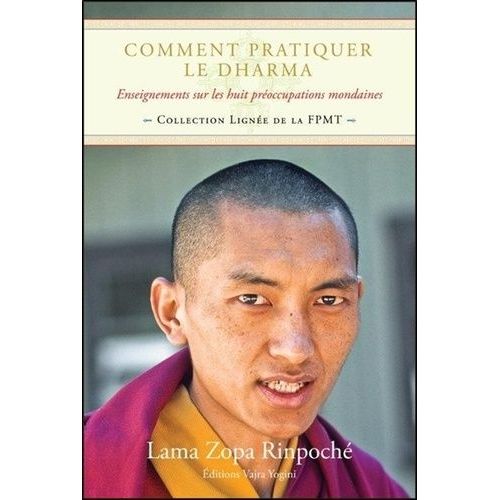 Comment Pratiquer Le Dharma - Enseignements Sur Les Huit Préoccupations Mondaines