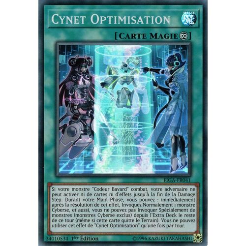 Cynet Optimisation Figa-Fr041