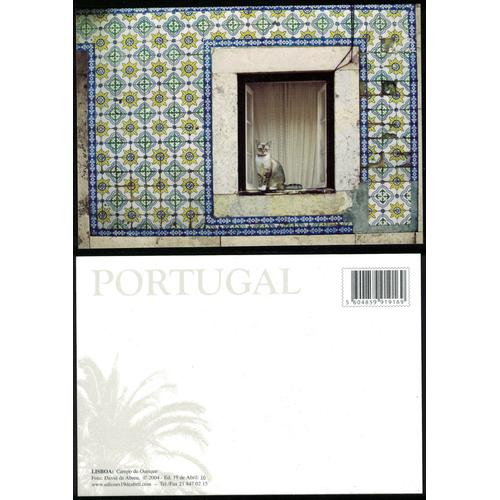 Portugal Carte Postale Postcard Lisbonne Campo De Ourique Façade En Azulejos Et Chat À La Fenêtre
