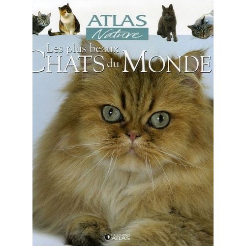 Les Plus Beaux Chats Du Monde