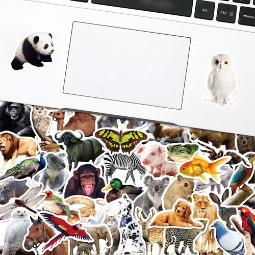 100 Pièces De La Série Zoo, Autocollants De Puzzle De Reconnaissance D'objets Pour Enfants, Orang-Outan, Tigre, Zèbre, Chameau, Araignée, Petits Animaux, Autocollants Réalistes A7057