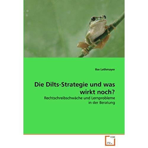 Die Dilts-Strategie Und Was Wirkt Noch?