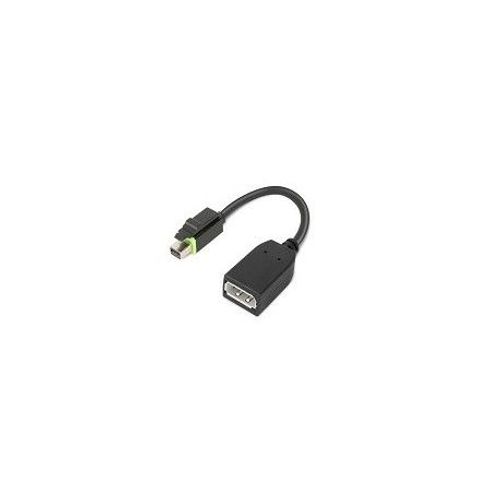 Lenovo - Adaptateur DisplayPort - Mini DisplayPort (M) pour DisplayPort (F) - pour ThinkCentre M75t Gen 2; ThinkStation P320; P330; P330 Gen 2; P348; P520; P620; P720; P920