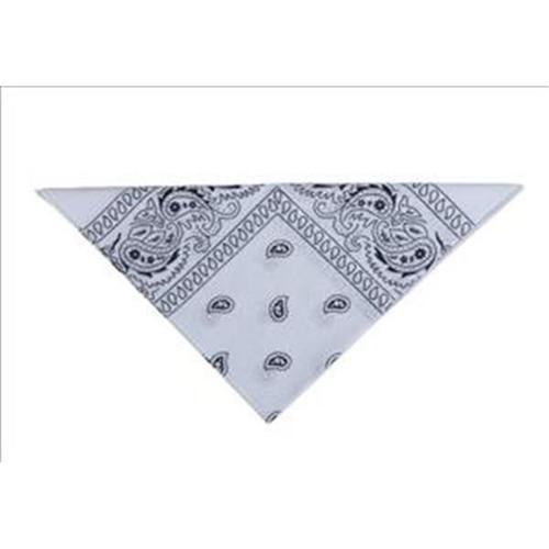 Bandana Blanc 55 X 55cm Pour Deguisement Farwest, Western, Country,