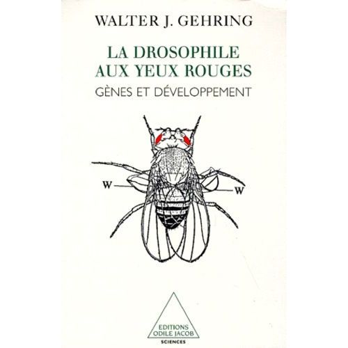 La Drosophile Aux Yeux Rouges - Gènes Et Développement