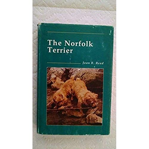 The Norfolk Terrier