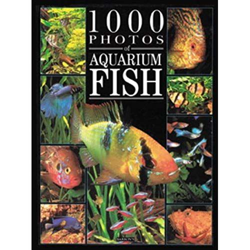 1000 Photos Of Aquarium Fish (1000 Photos Series)