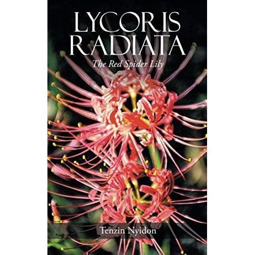 Lycoris Radiata