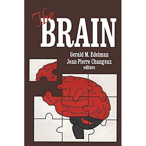 The Brain