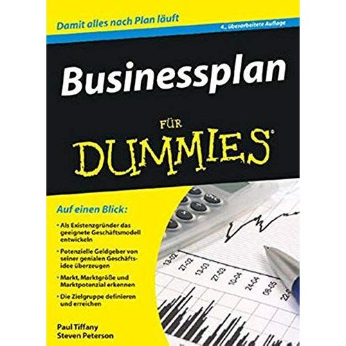 Businessplan Für Dummies