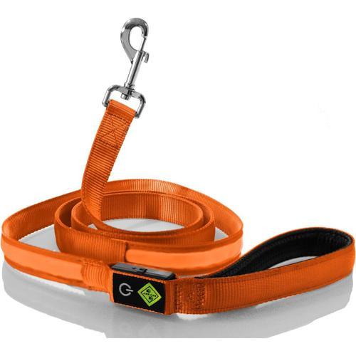 Orange Rockro Laisse Led Pour Chien, 180 Cm, Rechargeable Par Usb, Lumineuse Et Étanche, Complément Parfait Pour Tous Les Colliers Lumineux, Petits Et Grands Chiens, Orange