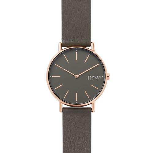 Skagen Montre Gris Analogique Femmes Signatur Skw2794