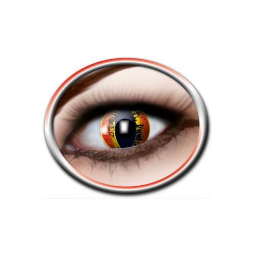 Lentilles Sauron 12 Mois Zoelibat