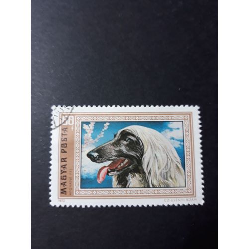 Timbre Chien Dog Hongrie Magyar Posta Tp8
