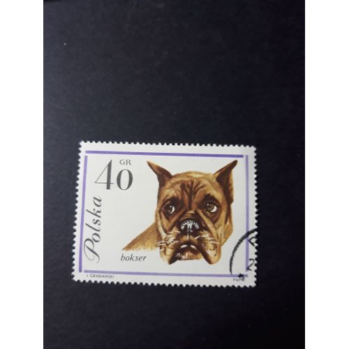 Timbre Chien Dog Pologne Polska Tp8
