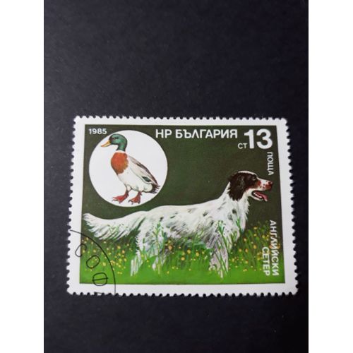 Timbre Chien Dog De Chasse Tp8