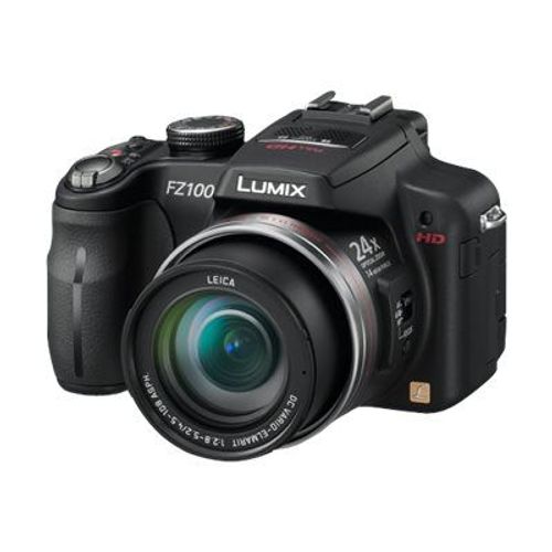 Panasonic Lumix DMC-FZ100 Bridge numérique 14.1 Mpix - Noir