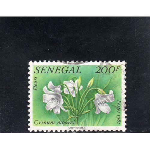 Timbre-Poste Du Sénégal (Fleur)