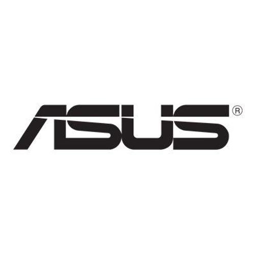 ASUS - Adaptateur secteur - 45 Watt - Europe - noir - pour Transformer Book Flip TP300; TP500; TP550; Transformer Book T200; T300; ZENBOOK UX32