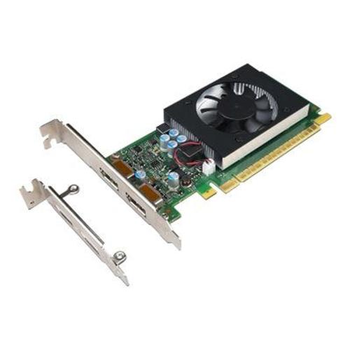 NVIDIA GeForce GT730 - Carte graphique - GF GT 730 - 2 Go GDDR5 - PCIe 2.0 x8 profil bas - DisplayPort - pour ThinkCentre M710; M715; M720; M75t Gen 2; M910; M920; V530-15