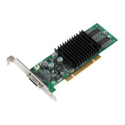 NVIDIA Quadro NVS 280 by PNY - Carte graphique - Quadro NVS 280 - 64 Mo DDR - PCI - Pour la vente au détail