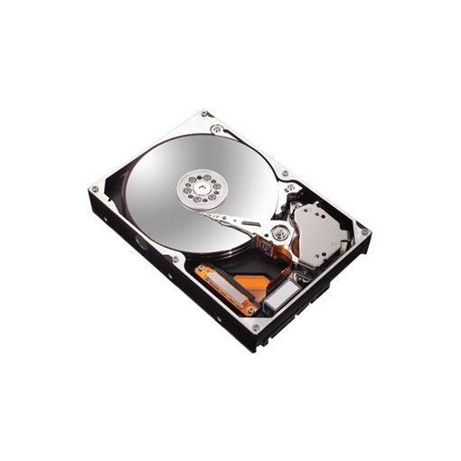 Disque Dur Interne Maxtor DiamondMax10 160Go IDE - 7200 RPM - Format 3,5" - Testé Et Garanti