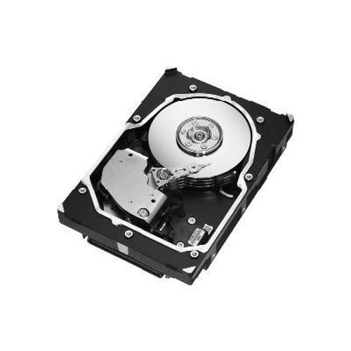 Seagate Cheetah 15K ST3300655SS - Disque dur - 300 Go - interne - 3.5" - SAS - 15000 tours/min - mémoire tampon : 16 Mo