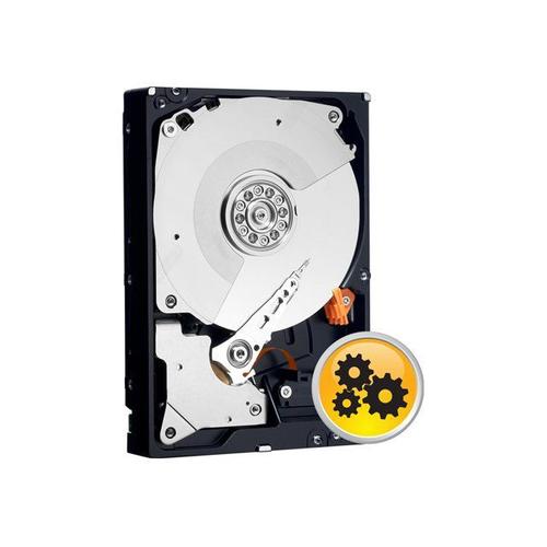 WD RE3 WD5002ABYS - Disque dur - 500 Go - interne - 3.5" - SATA 3Gb/s - 7200 tours/min - mémoire tampon : 16 Mo