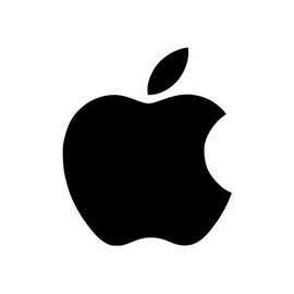 Apple - DDR2 - 4 Go: 2 x 2 Go - SO DIMM 200 broches - 667 MHz / PC2-5300 - mémoire sans tampon - non ECC