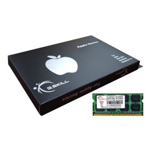 G.Skill SQ Series - DDR3 - module - 4 Go - SO DIMM 204 broches - 1066 MHz / PC3-8500 - CL7 - 1.5 V - mémoire sans tampon - non ECC