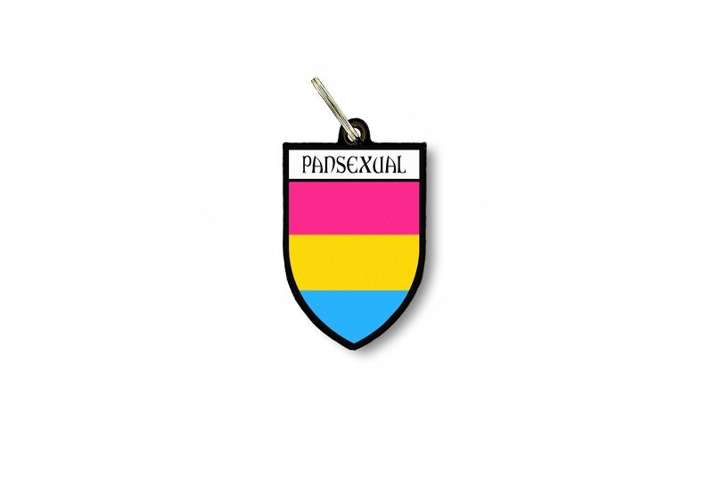 Porte Cles Clefs Cle Drapeau Collection Blason Pansexual Arc En Cie...