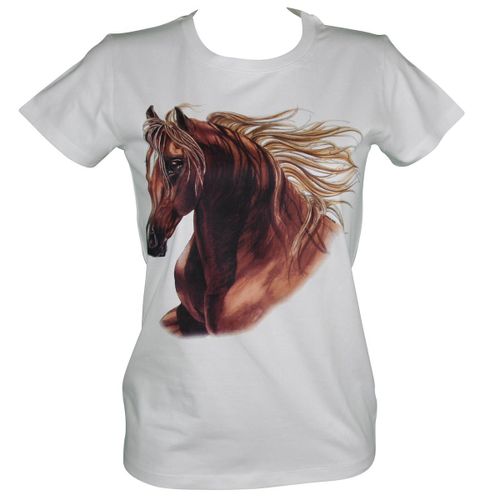 T-Shirt Femme Manches Courtes - Cheval 11100 - Blanc