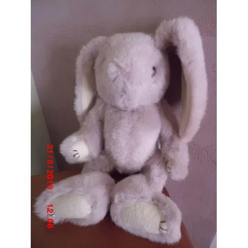 Lapin Beige Articule Cp