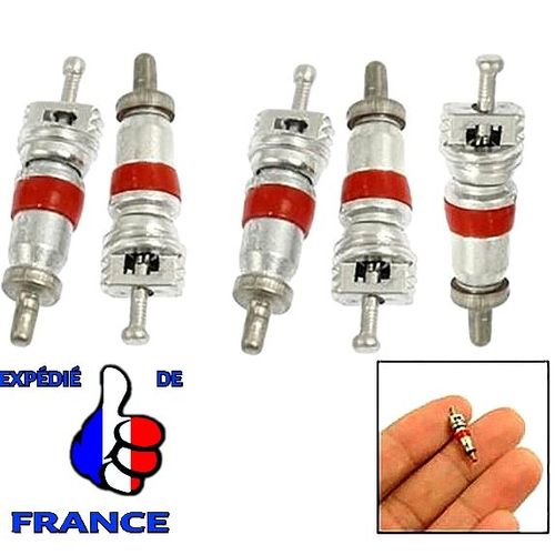 Lot De 5 Obus De Valve Schrader Haute Température