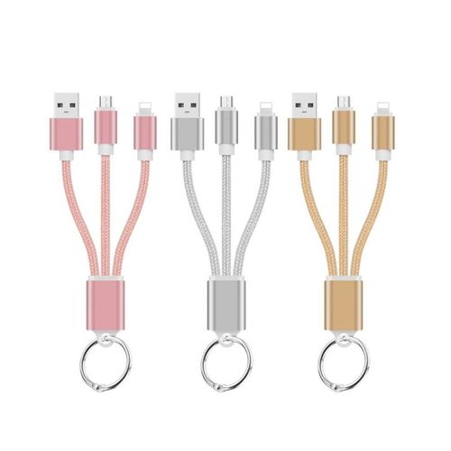 Cable Chargeur 2 En 1 Porte-Clefs Pour Ultimate Ears Blastandroid & Apple Adaptateur Micro Usb Lightning Metal Nylon - Argent