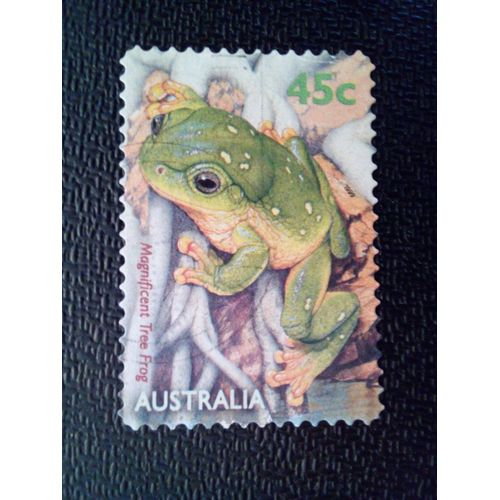 Timbre Australie Yt 1774 Magnifique Rainette 1999 ( 9912 )