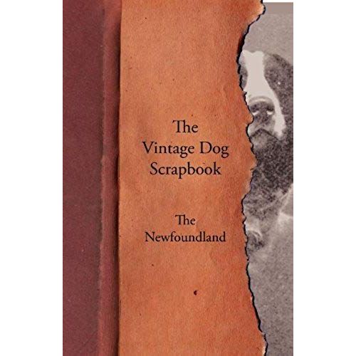 The Vintage Dog Scrapbook - The Newfoundland