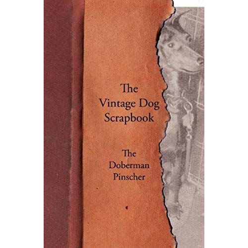 The Vintage Dog Scrapbook - The Doberman Pinscher