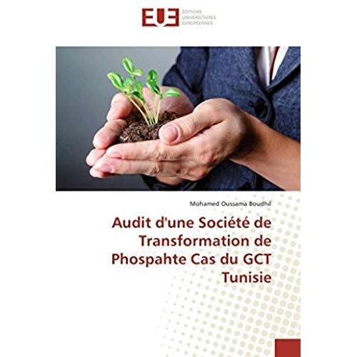 Audit D'une Société De Transformation De Phospahte Cas Du Gct Tunisie