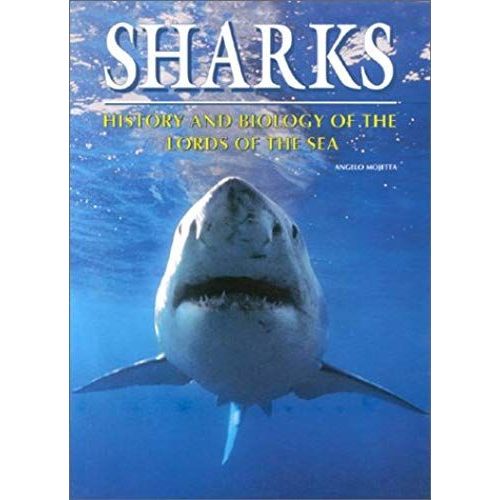 Sharks: History And Biology Of The Lords Of The Sea
