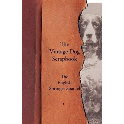 The Vintage Dog Scrapbook - The English Springer Spaniel