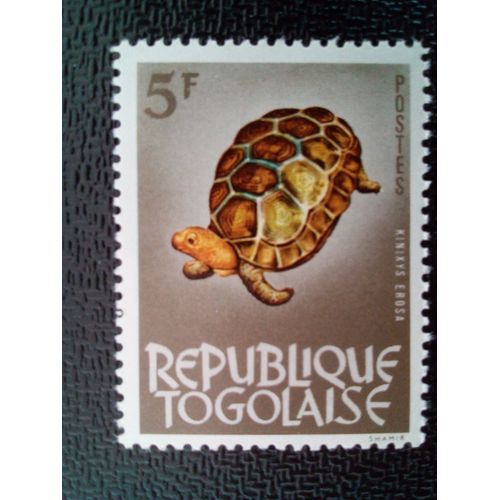 Timbre Togo Yt 397 Tortue À Dos Articulé De Forêt (Kinixys Erosa) 1963 ( 3912 )