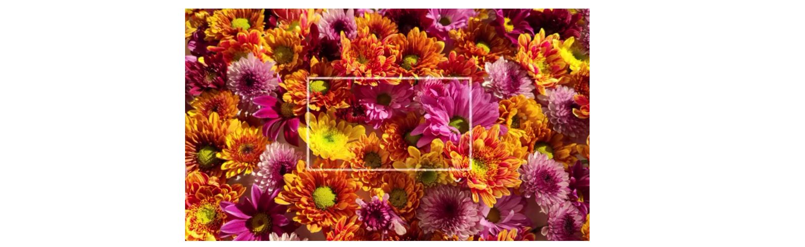 null image 5 | Rakuten