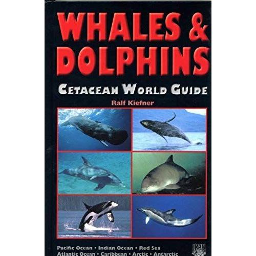 Whales & Dolphins: Cetacean World Guide