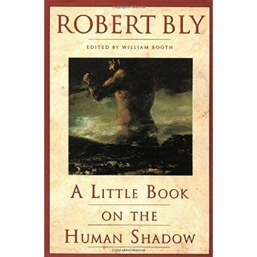 A Little Book On The Human Shadow By Robert Bly (1988) Paperback